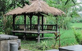Tiara Homestay
